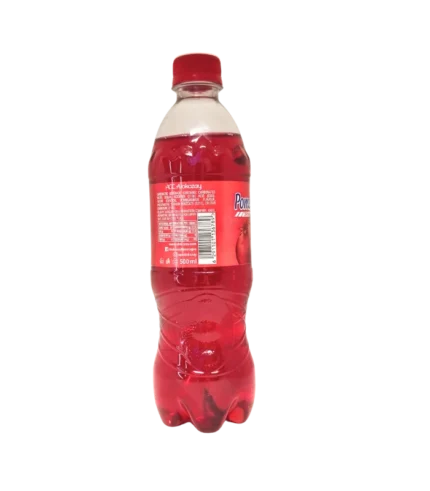 Alokozay boisson à la grenade 12 x 500ml dos