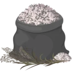 Riz