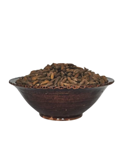 Pignons de pin 10 kg en vrac