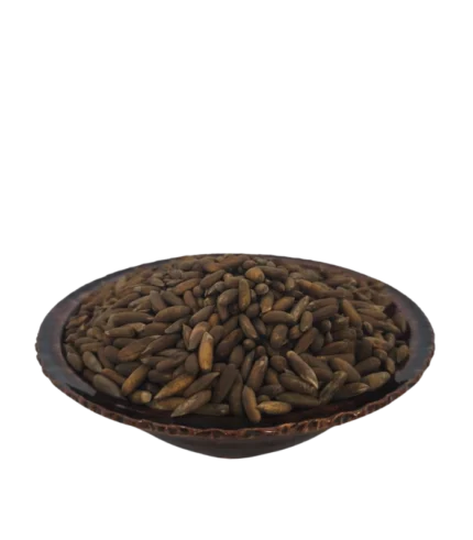 Pignons de pin 10 kg en vrac b