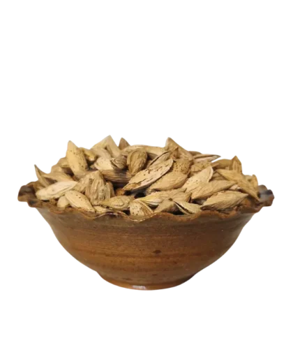 Amandes Satarbayi Kaghazi 6 kg