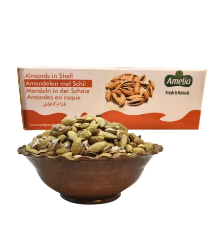 Amandes Salées Badam Shoor 8 kg