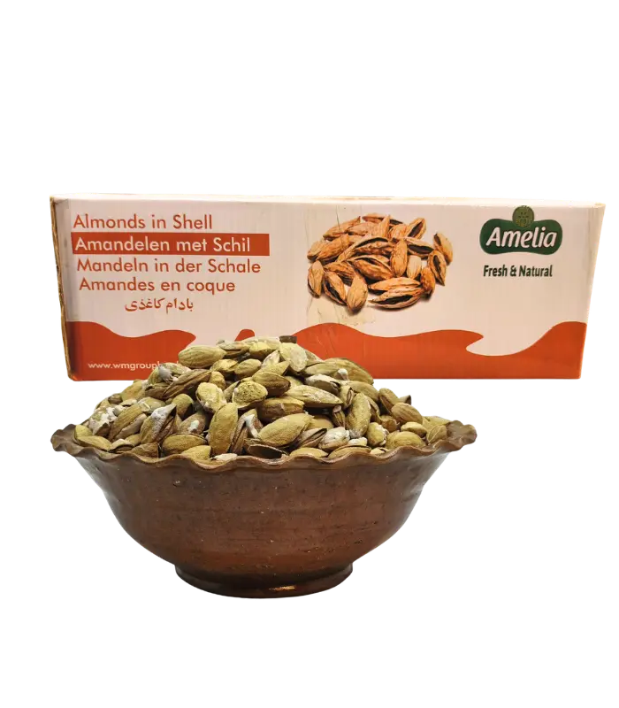 Amandes Salées Badam Shoor 8 kg Amandes Salées Badam Shoor 8 kg