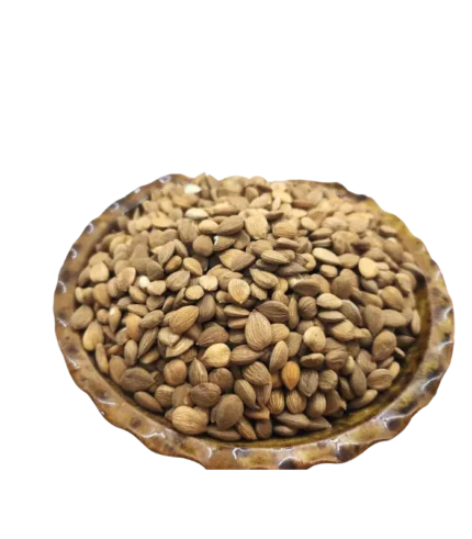 Noyaux d abricot bio Azimi 11 kg en vrac