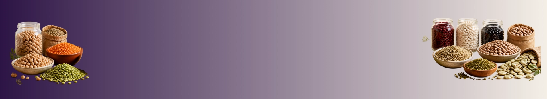 Légumes secs Category Banner