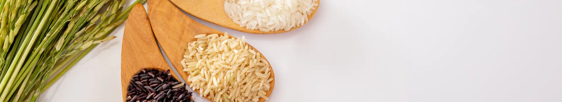 Riz catagory banner